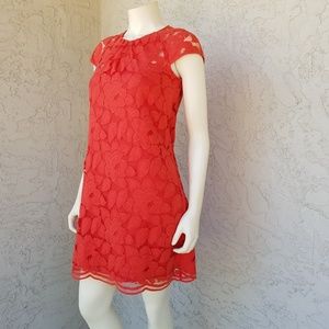 Orange Lace Cap Sleeve Shift Dress